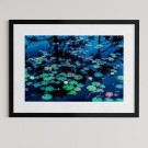 Per Heimly - Foto - Sorrow   thumbnail