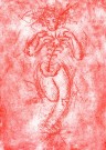 Maud A. Behn - Eksperimentelle spirer - Rød  thumbnail