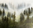 Kristine Hansmark - Mose thumbnail