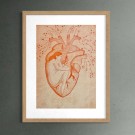 Maud Angelica Behn - Hjertet utenfor kroppen thumbnail