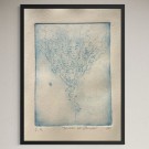 Maud A. Behn - Jammer av stemmer - Blå  thumbnail