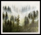 Kristine Hansmark - Mose thumbnail