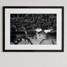 Per Heimly - Fotokunst - Den hvite reinen   thumbnail