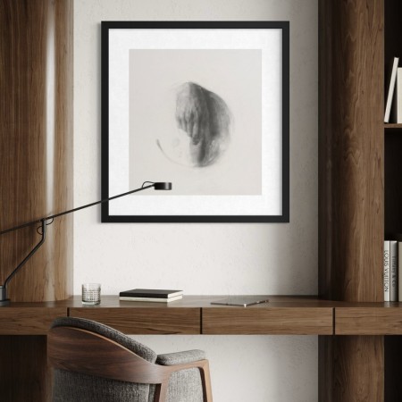 Myndin Nerdrum - Asteroide 