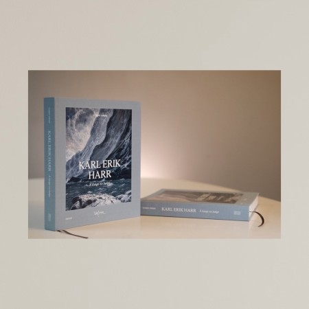 Karl Erik Harr - Kunstbok - Å fange en bølge