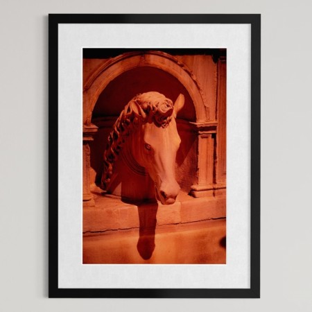 Per Heimly Foto - Hesten Sicilia 